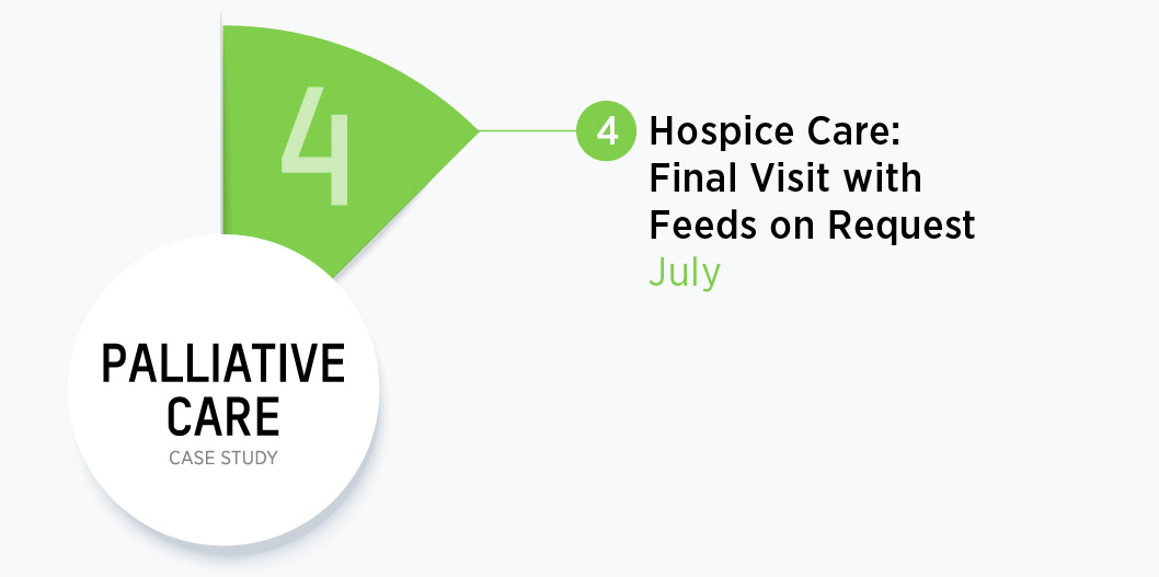 Palliative Care Story - Phase 4